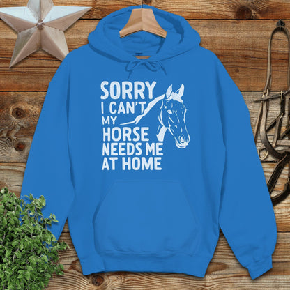Sorry I Can't Hoodie