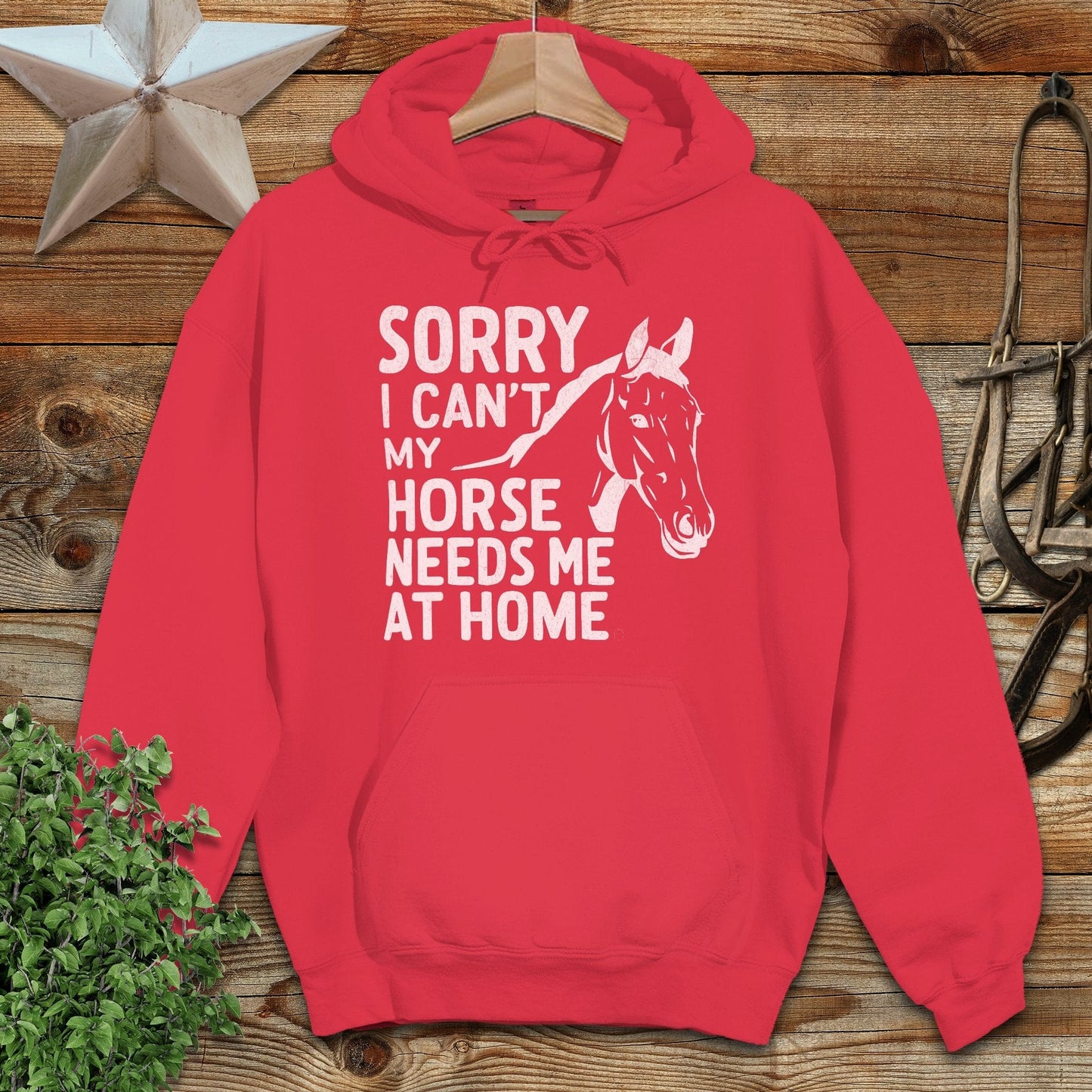 Sorry I Can't Hoodie