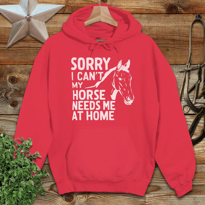 Sorry I Can't Hoodie