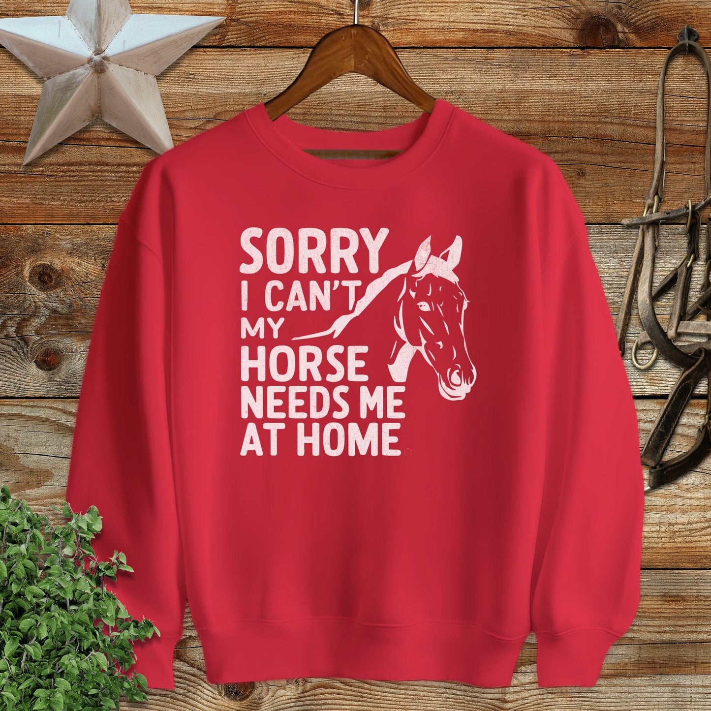 Sorry I Can't Sweatshirt