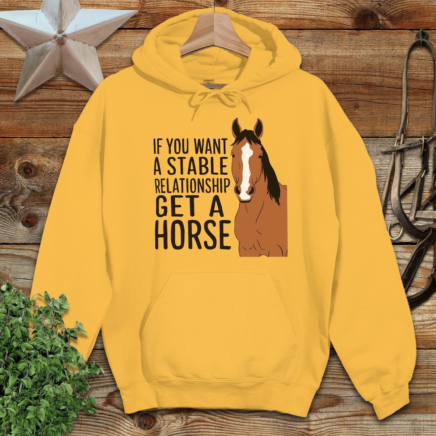 Stable Relationship Hoodie