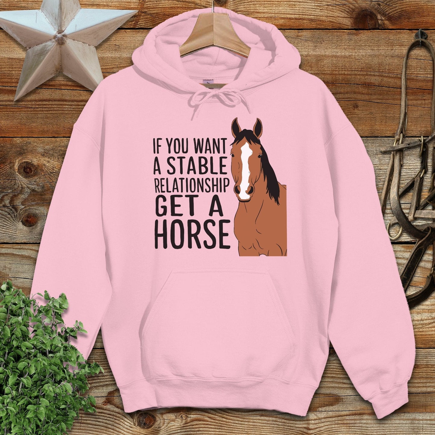 Stable Relationship Hoodie