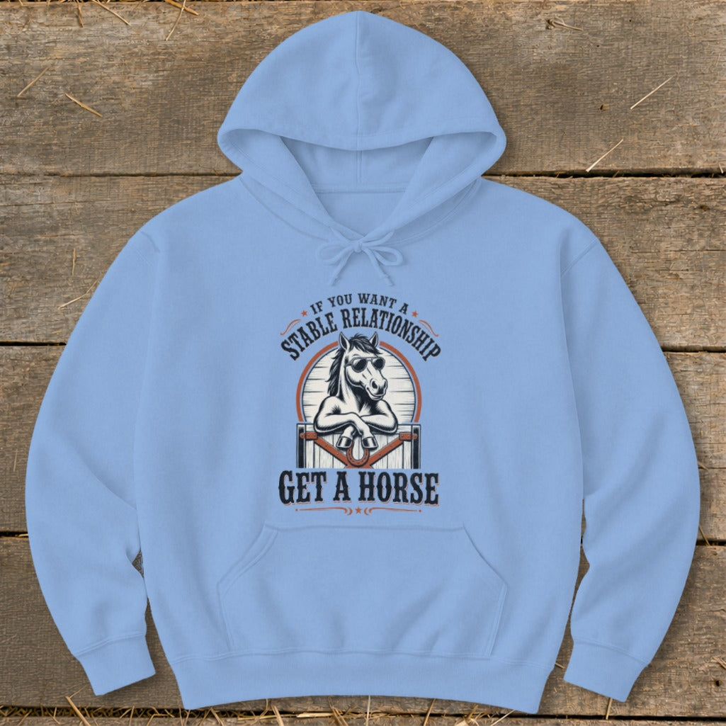 Stable Relationship Hoodie - Carolina Blue