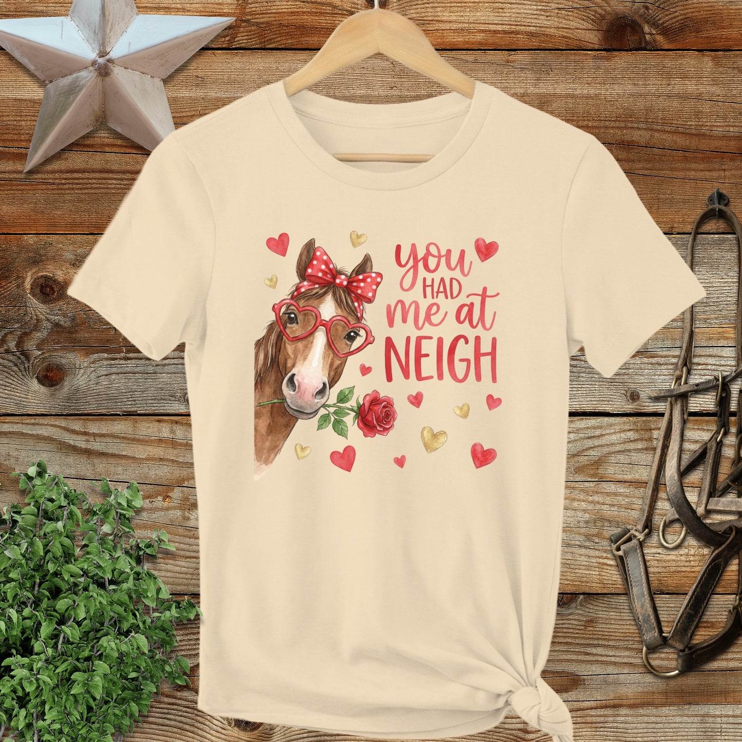 Valentines Card - Had me at Neigh Ladies Tee
