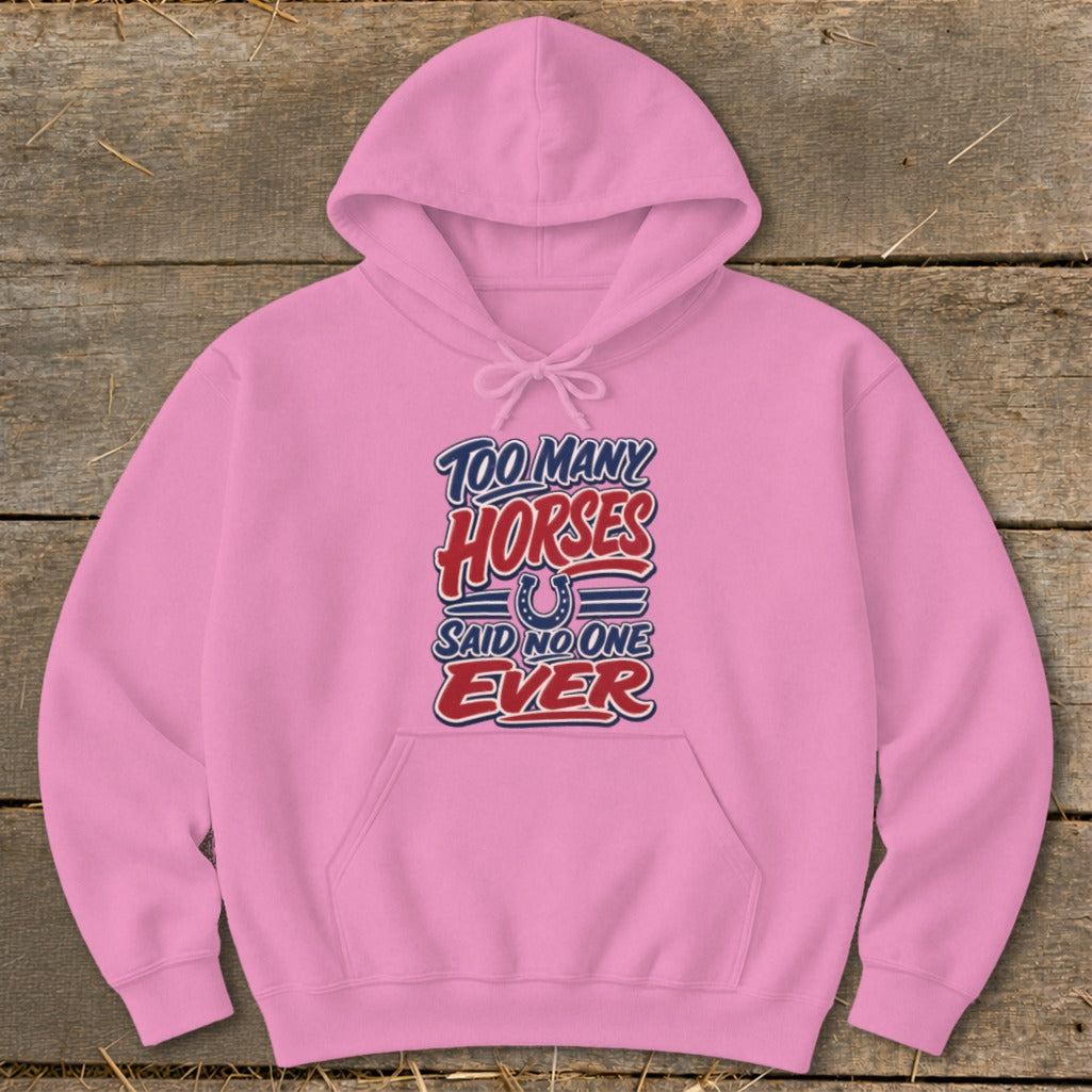Pink hoodie with "Too Many Horses Said No One Ever" text and horseshoe graphic.
