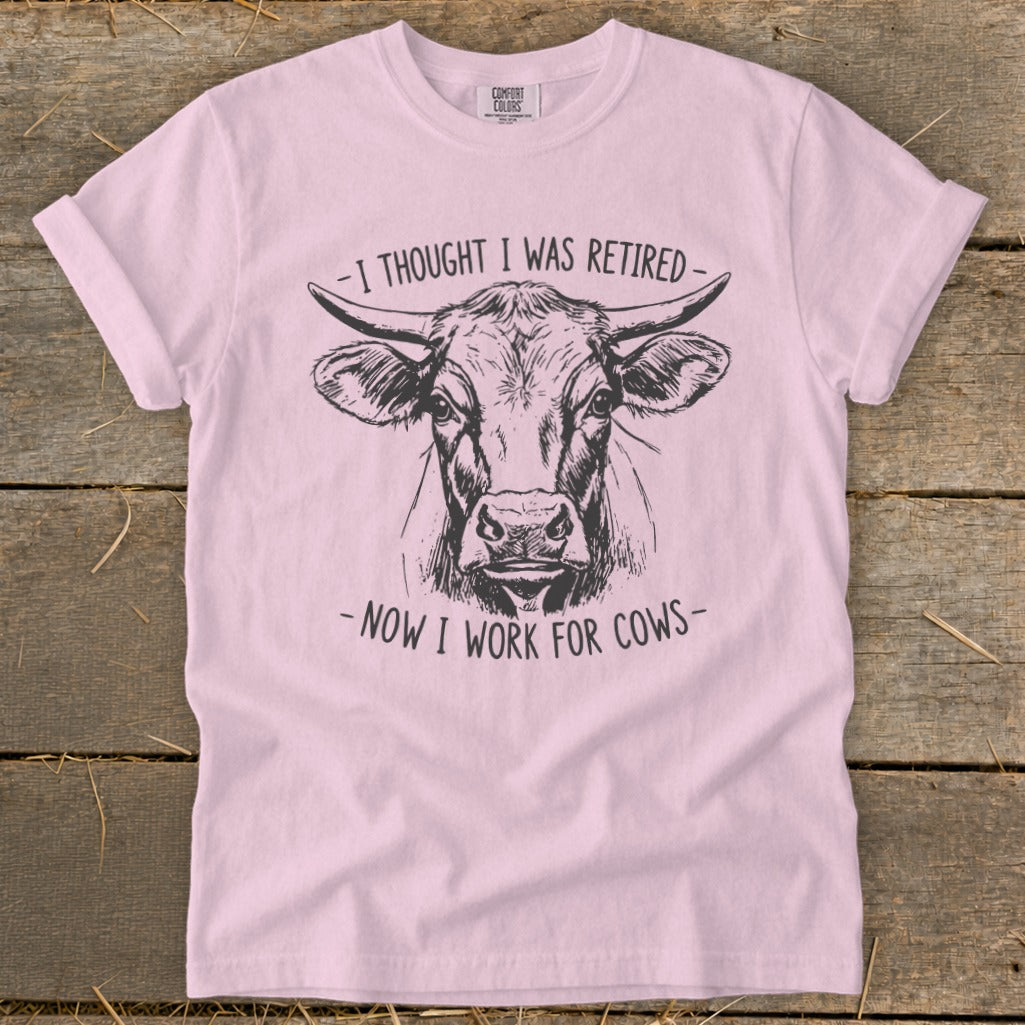 Pink t-shirt with a sketch of a cow and text "I thought I was retired - Now I work for cows".