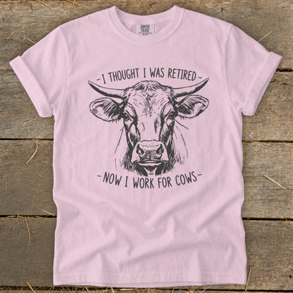 Pink t-shirt with a sketch of a cow and text "I thought I was retired - Now I work for cows".