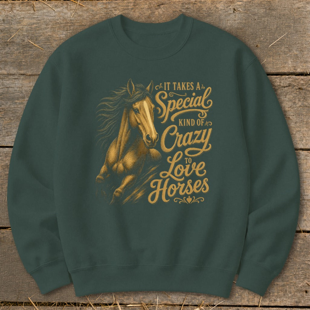 Green sweatshirt with a golden horse and text reading "It takes a special kind of crazy to love horses".