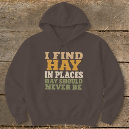 Brown hoodie with "I FIND HAY IN PLACES HAY SHOULD NEVER BE" text.