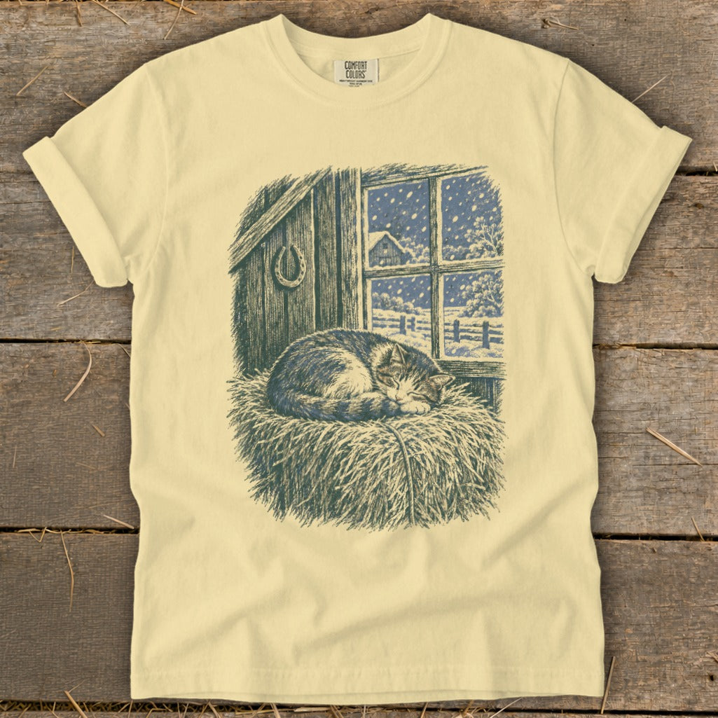 Cat sleeping in hay in front of barn window during snowfall.
