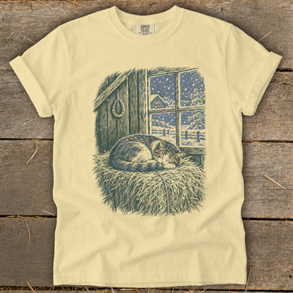 Cat sleeping in hay in front of barn window during snowfall.