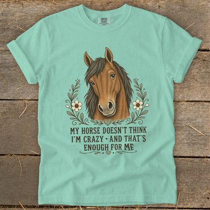 Teal t-shirt with horse graphic and text "MY HORSE DOESN'T THINK I'M CRAZY AND THAT'S ENOUGH FOR ME".