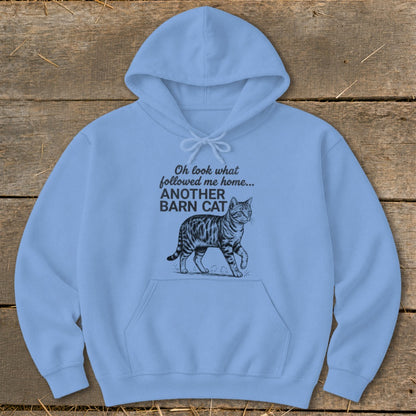 Light blue hoodie with "Oh look what followed me home... ANOTHER BARN CAT" text and a barn cat illustration.