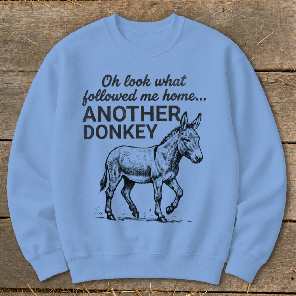 Light blue sweatshirt with text "Oh look what followed me home... ANOTHER DONKEY" and donkey graphic.