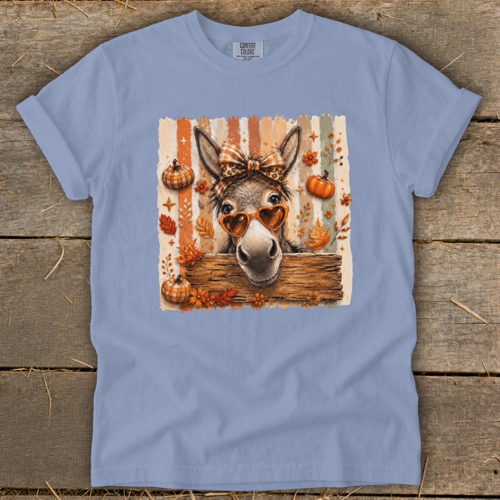 Donkey wearing heart sunglasses and plaid bow with pumpkins and autumn leaves.