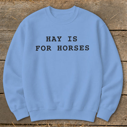Light blue crewneck sweatshirt with black text that reads "HAY IS FOR HORSES".