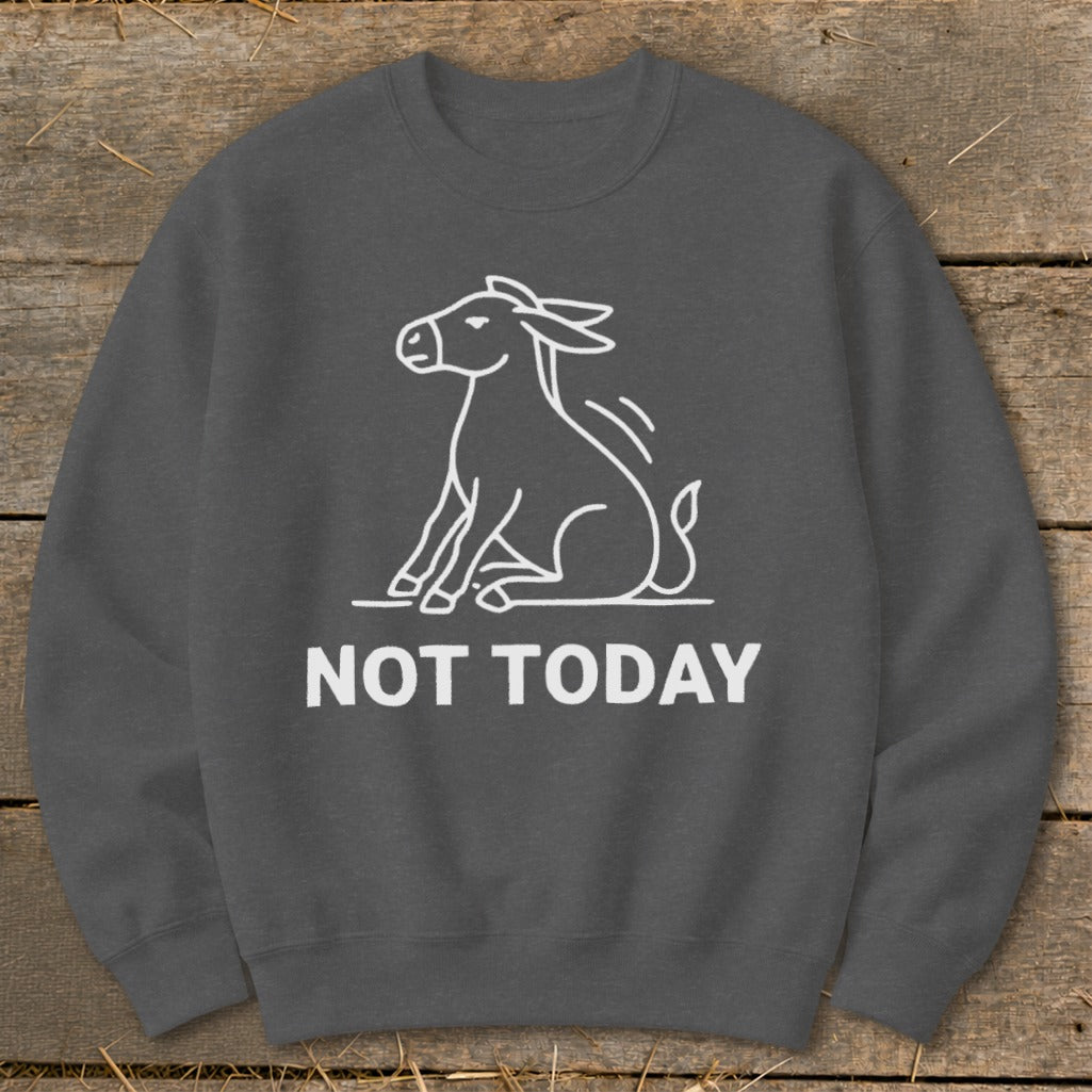 Dark gray sweatshirt with white outline of a sitting donkey and text "NOT TODAY".
