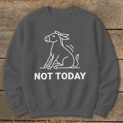Dark gray sweatshirt with white outline of a sitting donkey and text "NOT TODAY".