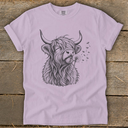 Line art of highland cow blowing on a dandelion on a lilac t-shirt.