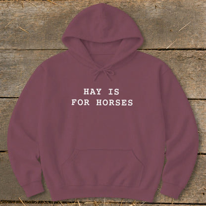 Maroon hoodie with "HAY IS FOR HORSES" text on the front.