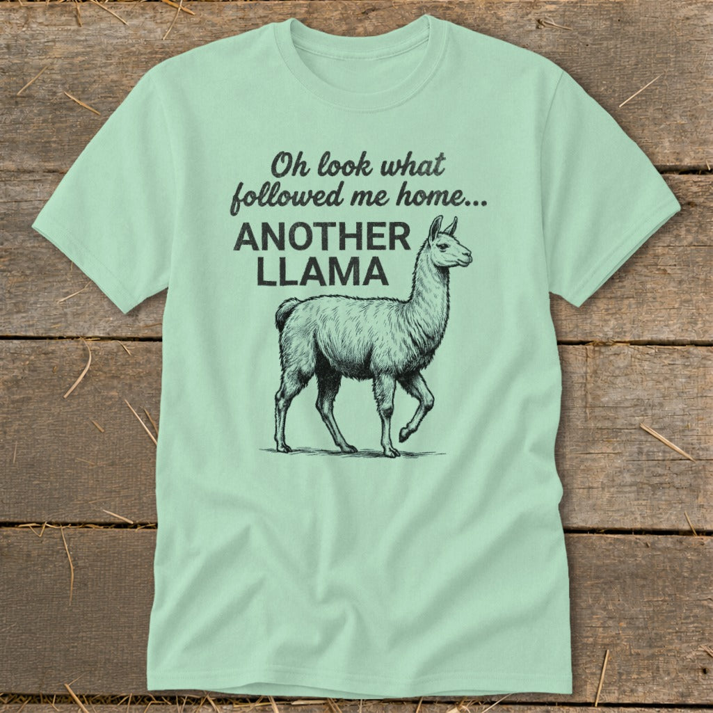Light green t-shirt with black sketch of a llama and text: "Oh look what followed me home... ANOTHER LLAMA".