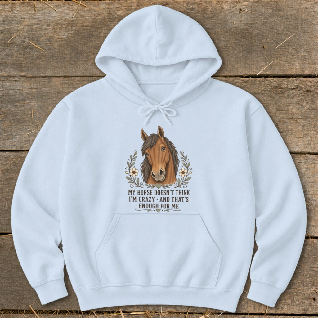 Light blue hoodie with horse graphic and text: "My horse doesn't think I'm crazy and that's enough for me."