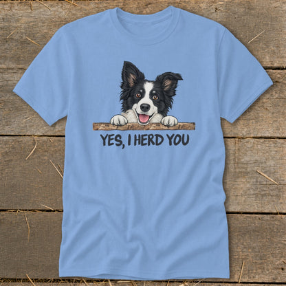 Light blue t-shirt with a Border Collie peeking over a wooden plank, text says "YES, I HERD YOU".