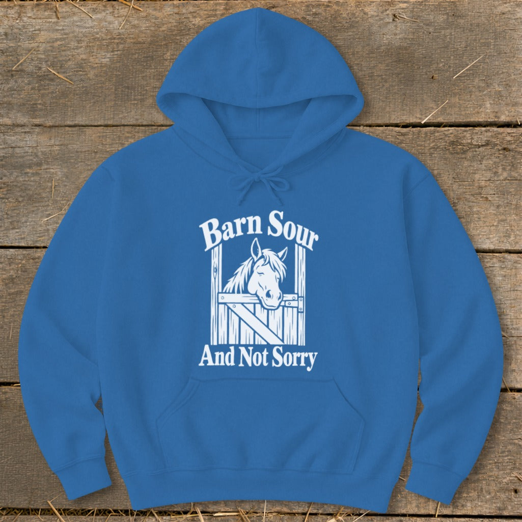 Barn Sour Hoodie