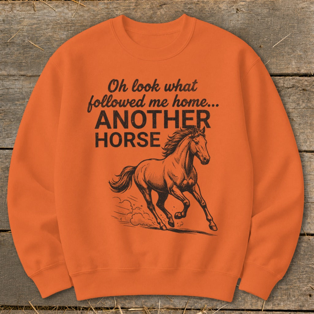 Orange sweatshirt with text "Oh look what followed me home... ANOTHER HORSE" and a horse illustration.