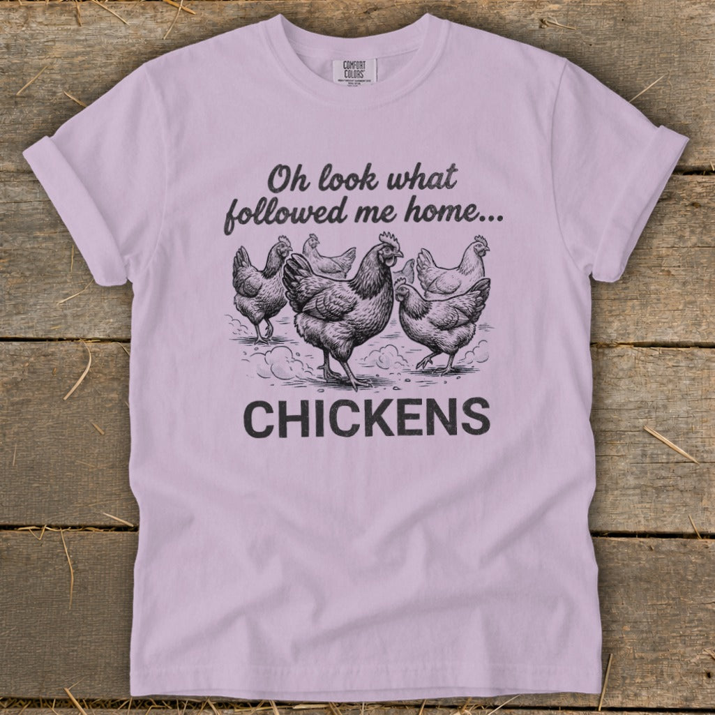 Light purple t-shirt with "Oh look what followed me home... CHICKENS" text and chicken illustration.