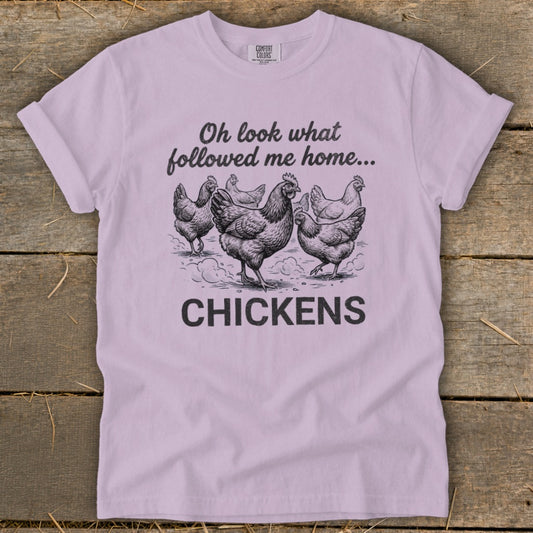Light purple t-shirt with "Oh look what followed me home... CHICKENS" text and chicken illustration.