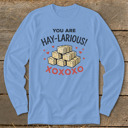 Blue long-sleeve shirt with "You Are Hay-Larious!" text and hay bales.