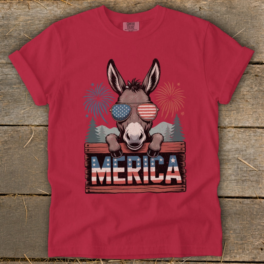 Donkey wearing American flag sunglasses above a sign saying MERICA with fireworks.