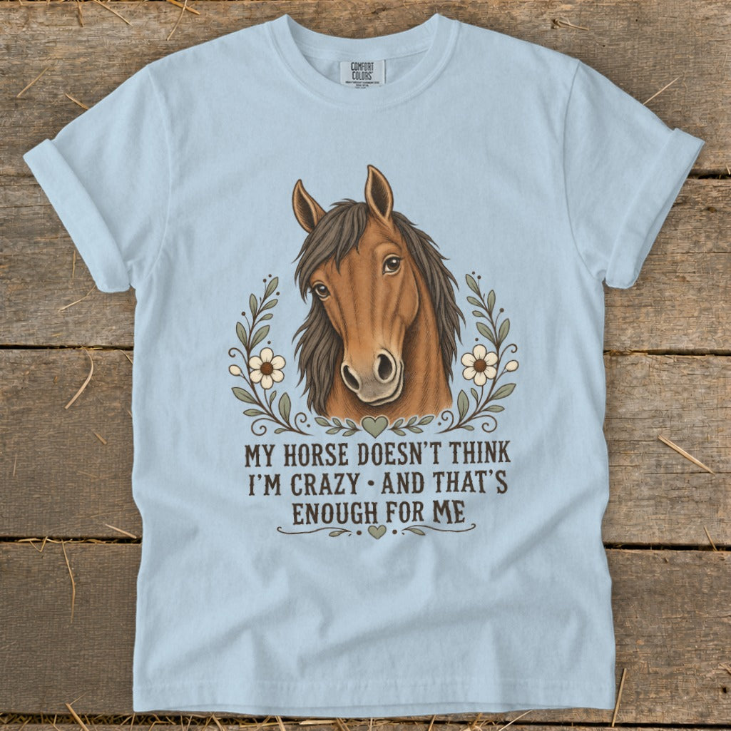 Light blue t-shirt with horse illustration and text: "MY HORSE DOESN'T THINK I'M CRAZY AND THAT'S ENOUGH FOR ME".