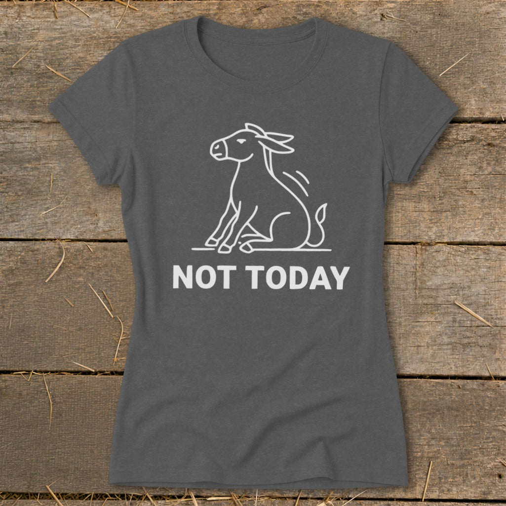 Grey t-shirt with a white line drawing of a donkey and the text "NOT TODAY".