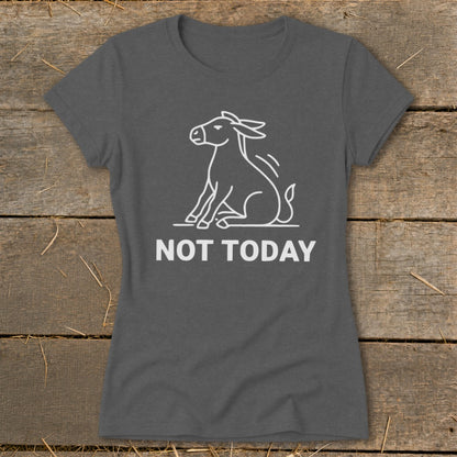 Grey t-shirt with a white line drawing of a donkey and the text "NOT TODAY".
