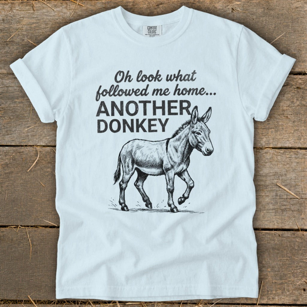 White t-shirt with "Oh look what followed me home... ANOTHER DONKEY" and a donkey sketch.