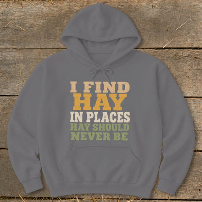 Gray hoodie with text "I FIND HAY IN PLACES HAY SHOULD NEVER BE".