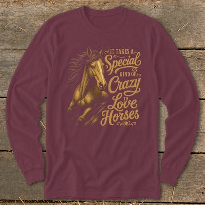 Maroon long-sleeve shirt with a golden horse graphic and text "It takes a special kind of crazy to love horses."
