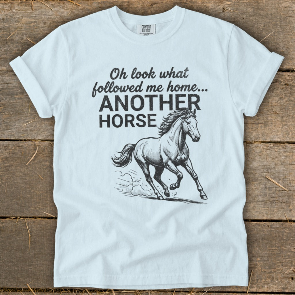 Light blue t-shirt with "Oh look what followed me home... ANOTHER HORSE" text and horse graphic.