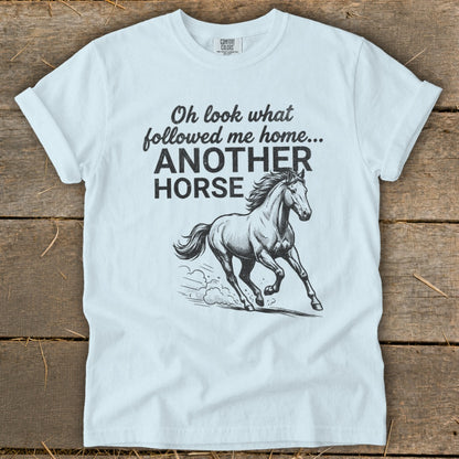 Light blue t-shirt with "Oh look what followed me home... ANOTHER HORSE" text and horse graphic.