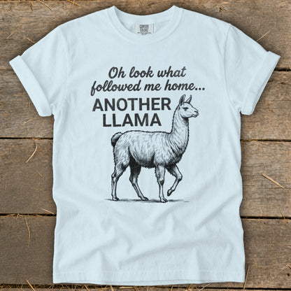 White t-shirt with text "Oh look what followed me home... ANOTHER LLAMA" and a llama graphic.