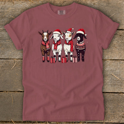 Four goats in Christmas hats and scarves stand with gifts.