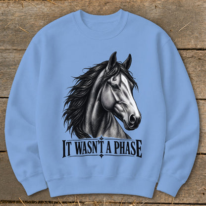 Light blue sweatshirt with a black and white drawing of a horse and the text "IT WASN'T A PHASE".