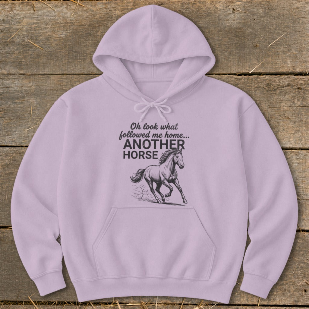 Light purple hoodie with "Oh look what followed me home... ANOTHER HORSE" text and horse graphic.