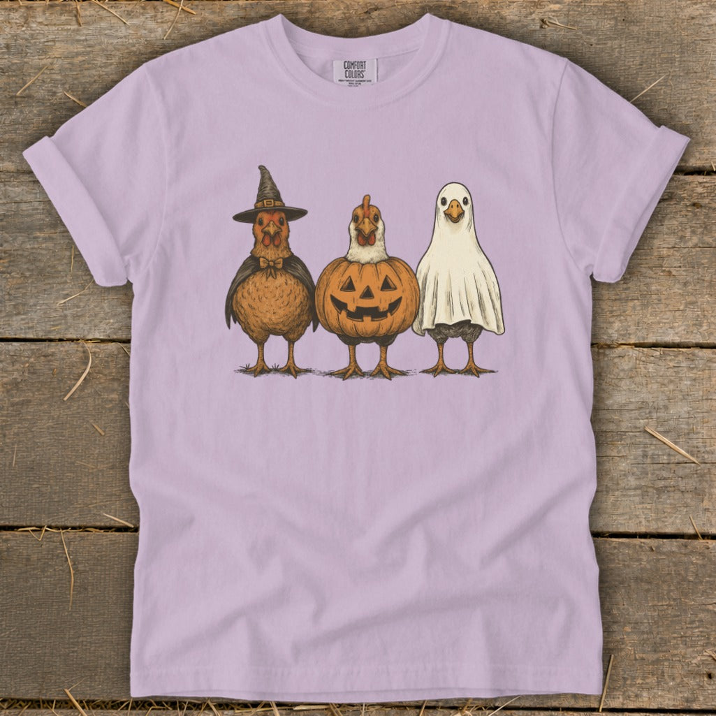 Three chickens dressed for Halloween: one as a witch, one as a pumpkin, one as a ghost.