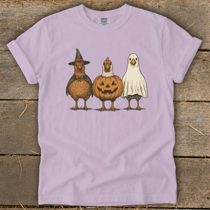 Three chickens dressed for Halloween: one as a witch, one as a pumpkin, one as a ghost.