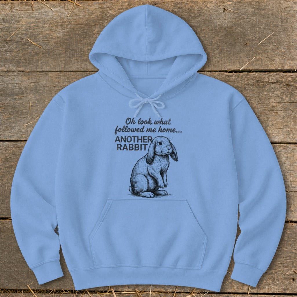Light blue hoodie with a drawing of a rabbit and text "Oh look what followed me home... ANOTHER RABBIT".