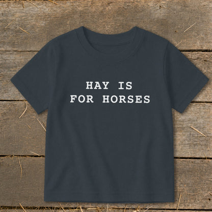 Dark grey t-shirt with white text "HAY IS FOR HORSES"