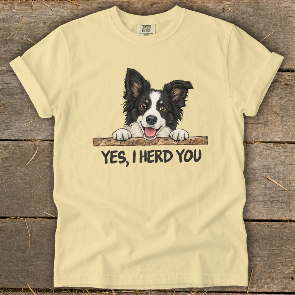 T-shirt with a border collie graphic and the text "YES, I HERD YOU".